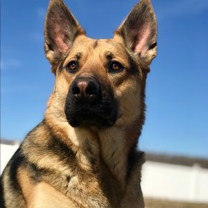 Meet your Posher, Brian